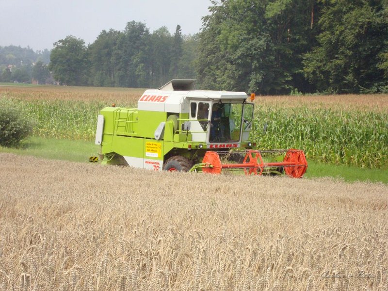 Claas Drescher 42